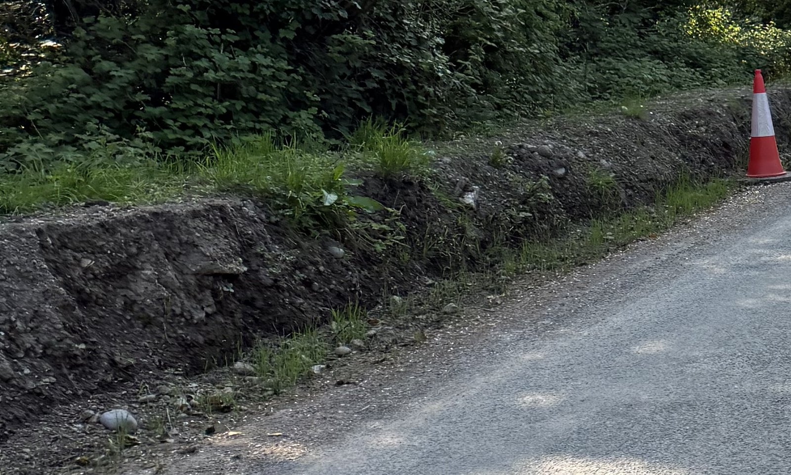 Detail of exposed soil and loose material on the roadside verge