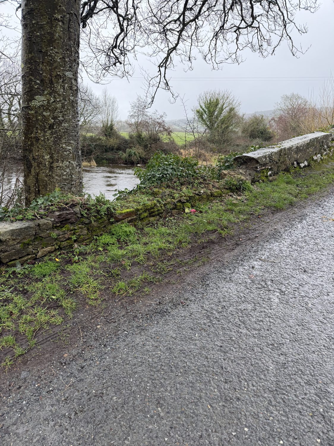 The parapet at Killardry Bridge with its capping removed, the wall standing barely above the road