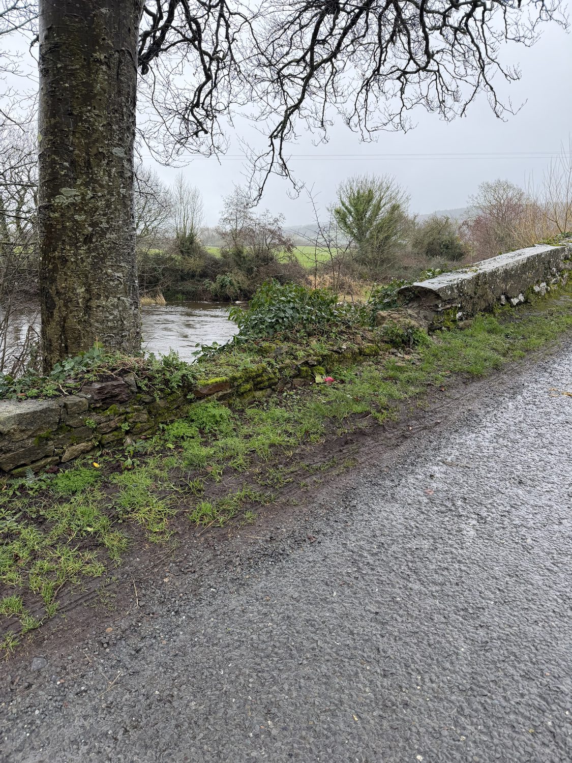 The drop to the River Aherlow at the collapsed section — measured at about 4.3 metres to the water by the forensic engineer. The capping stone is gone and was not replaced.