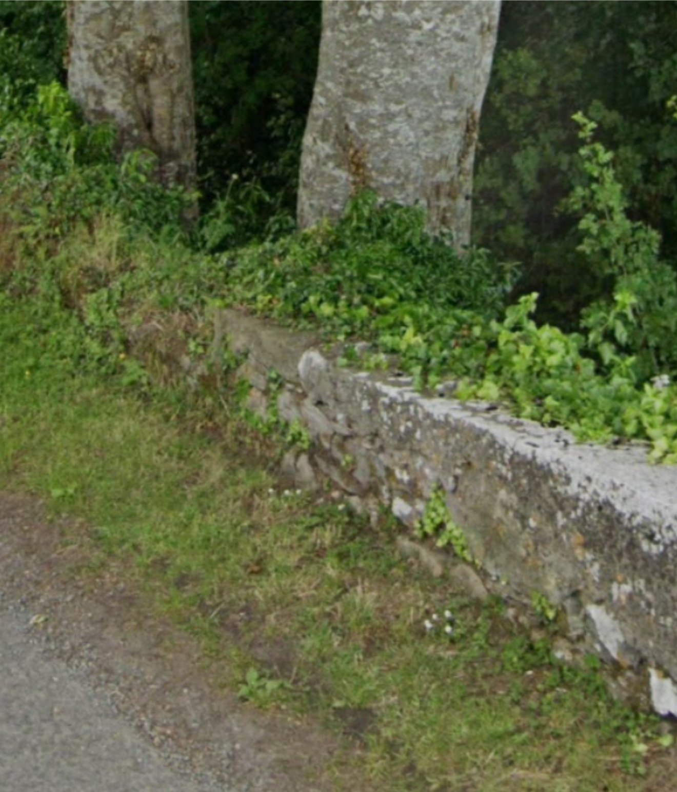 The same stretch of wall with its capping stones still in place, 2024