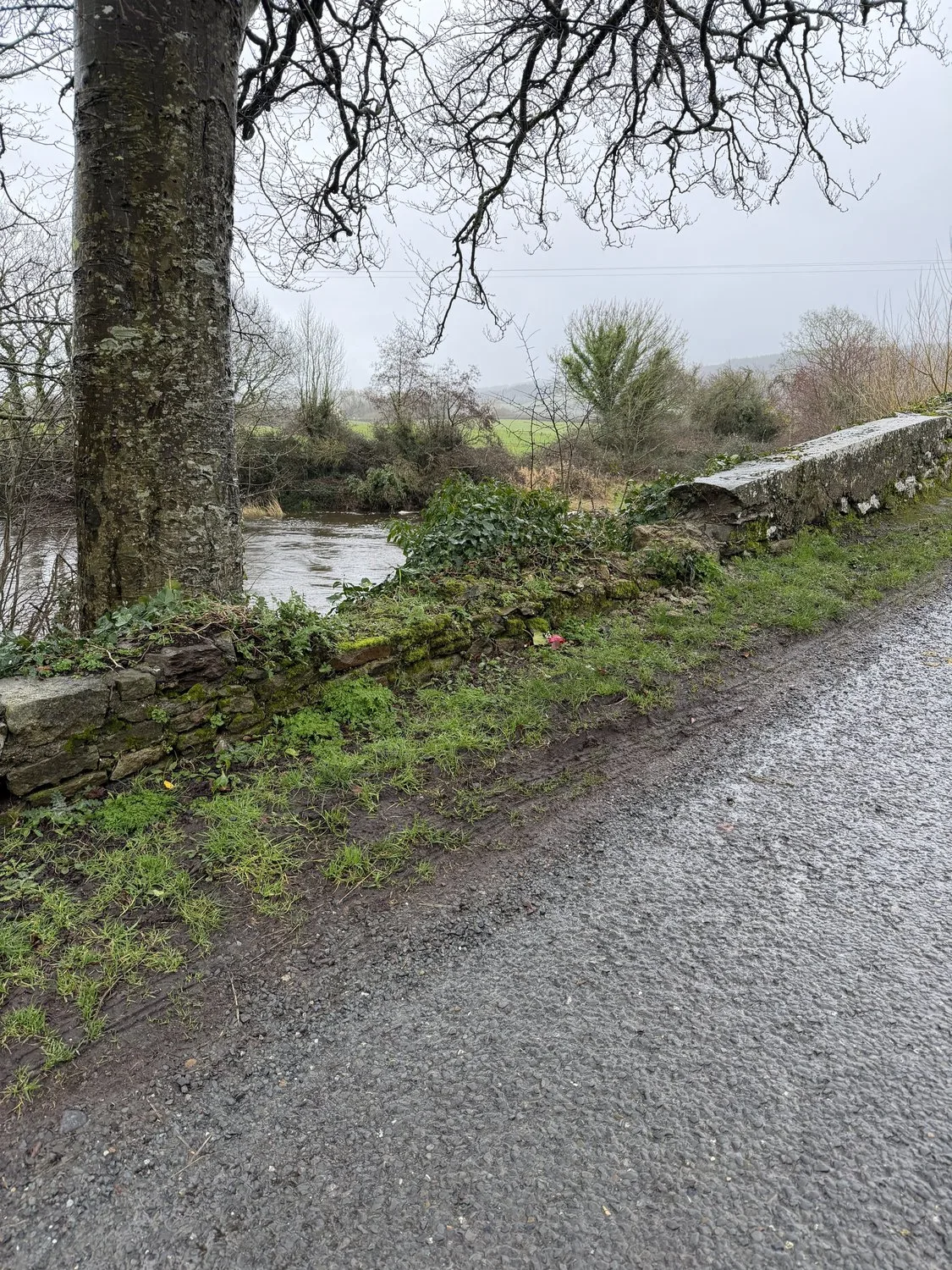 The grass verge grown level with the top of the lowered bridge wall.