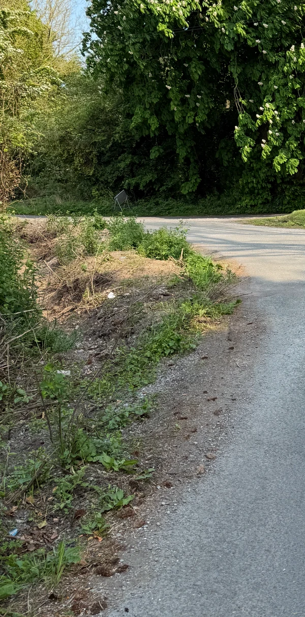 Closer view of the roadside channel and exposed soil. Screen controls cropped; original retained.